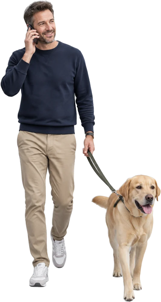 A recruiter walking a labrador while on a call
